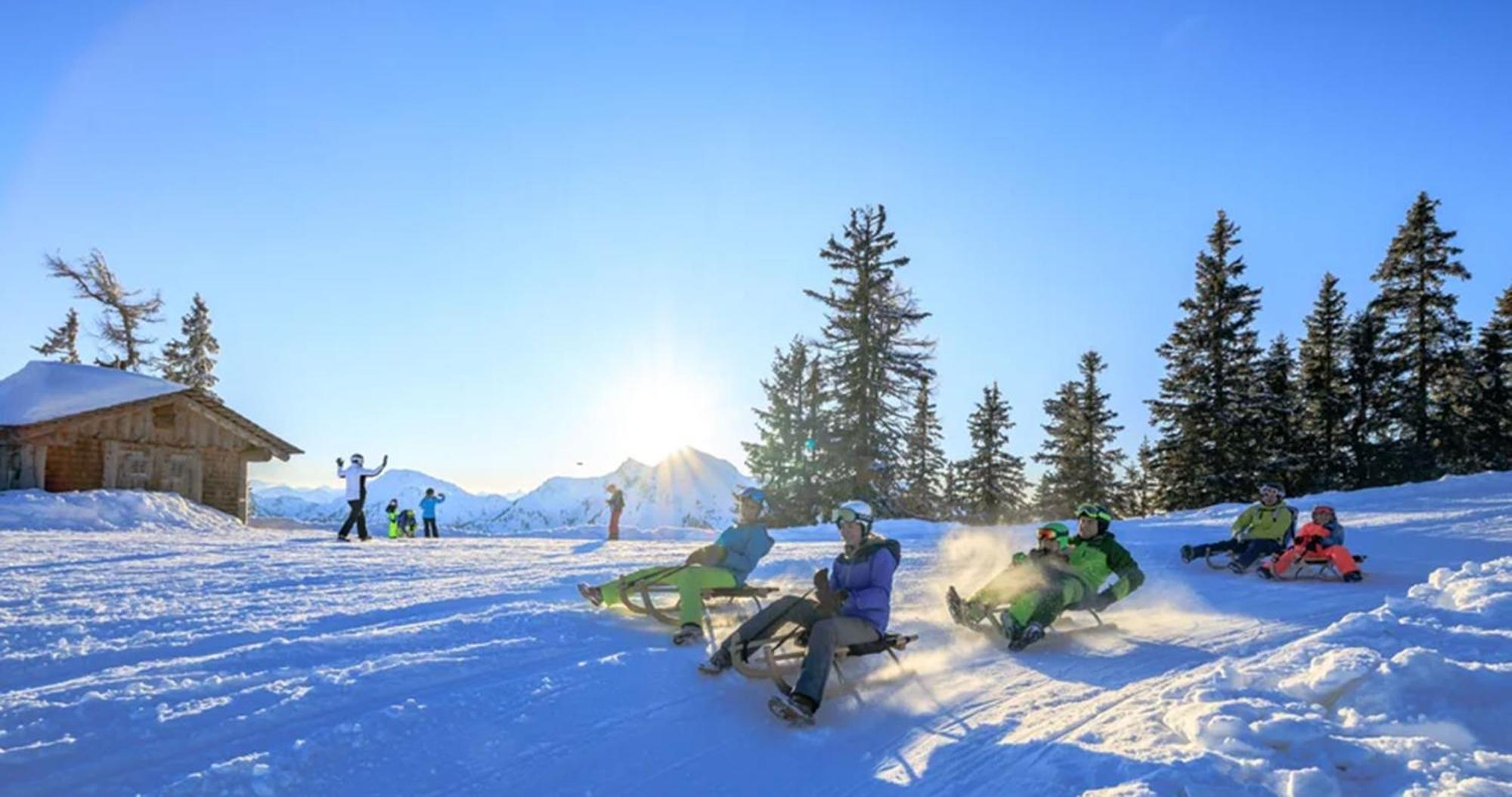 Apartment Naturnah Schladming