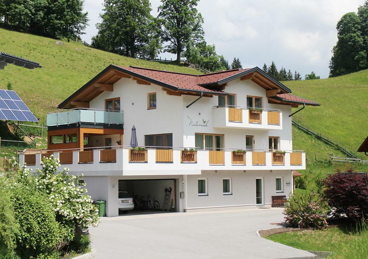 Naturnah Apartment Schladming